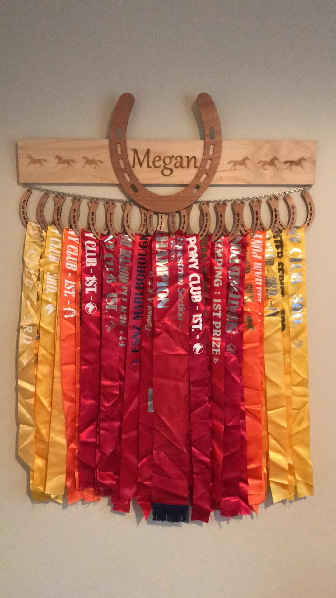 Horse Ribbon Hanger