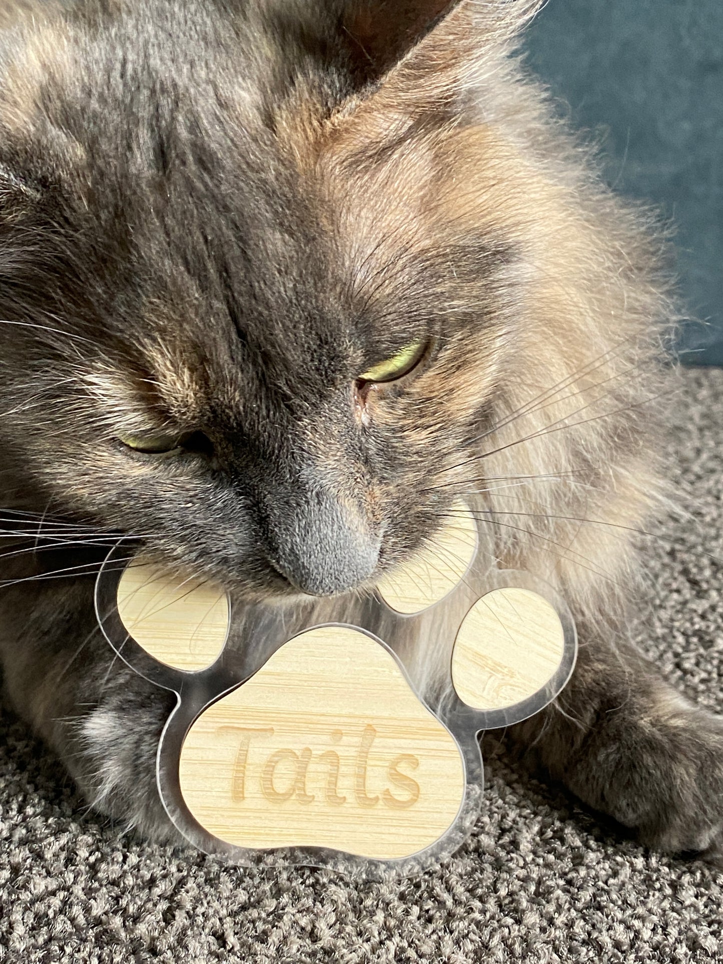 Personalised Paw Print Christmas Decoration