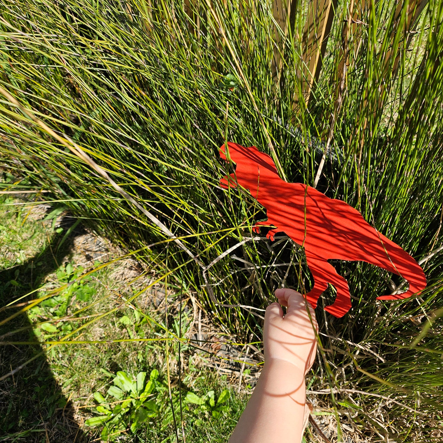 Dinosaur Silhouettes