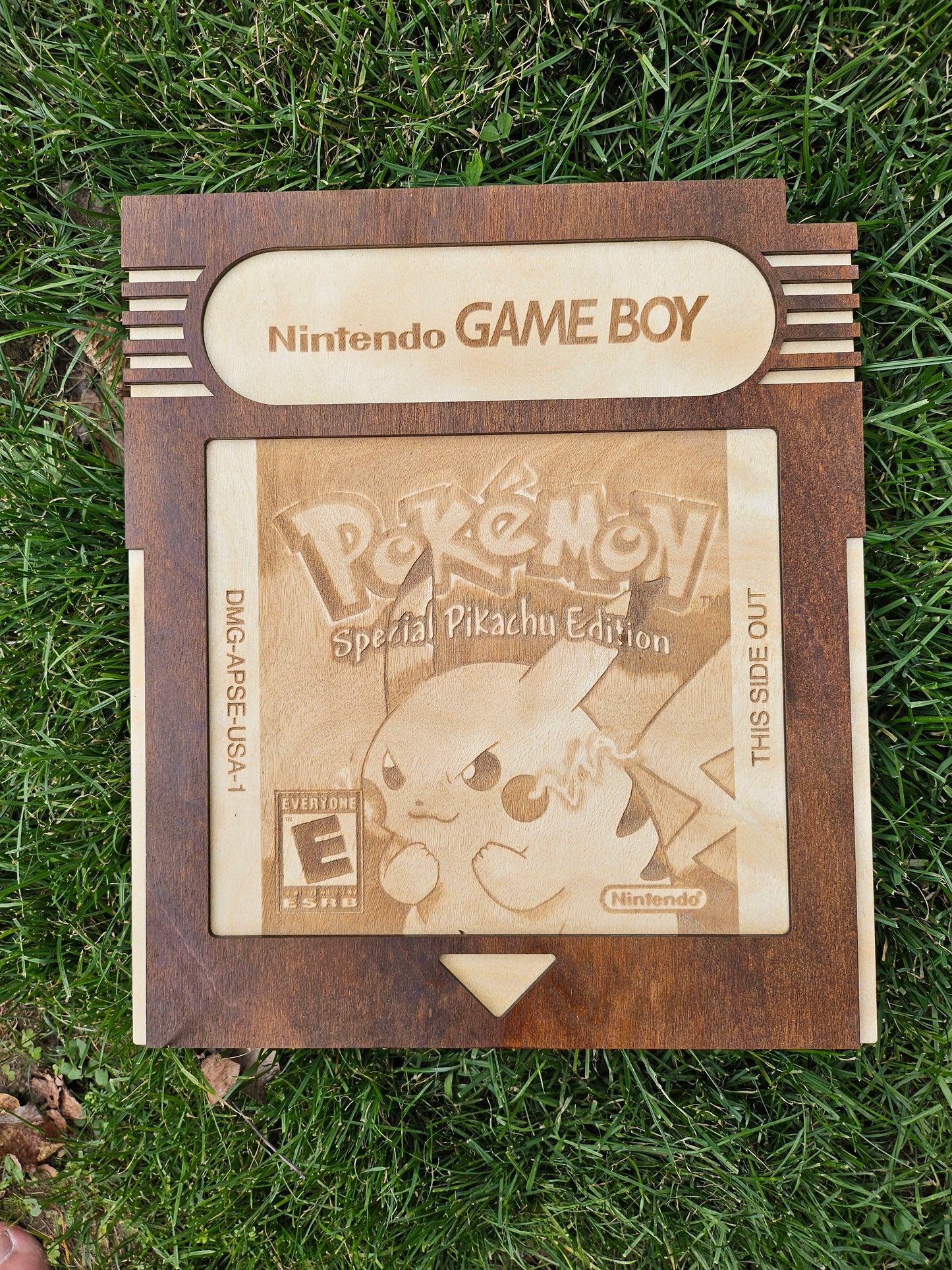Pokemon Cartridge Wall Hangings