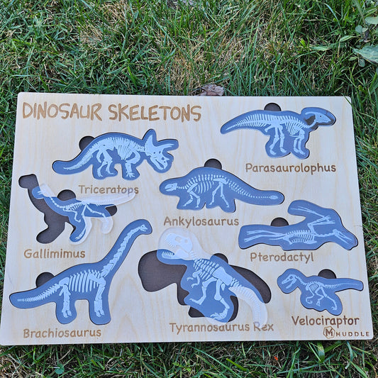Dinosaur Skeleton Puzzle
