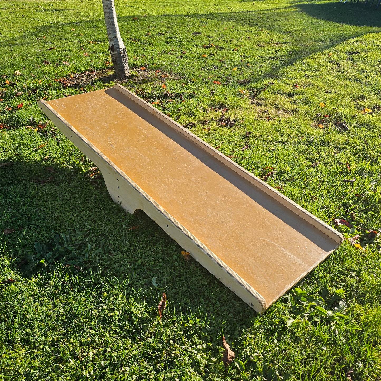 Children's Bike Seesaw