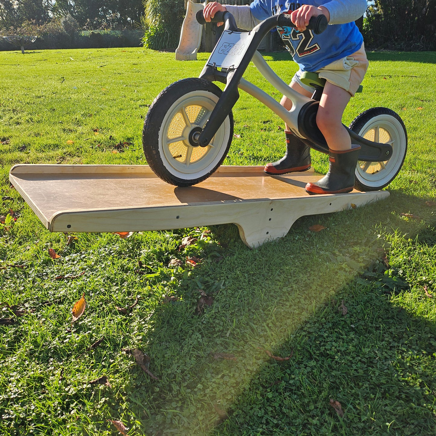 Children's Bike Seesaw