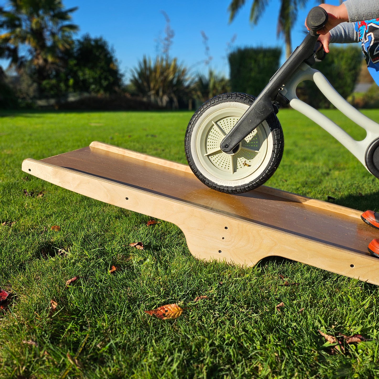 Children's Bike Seesaw