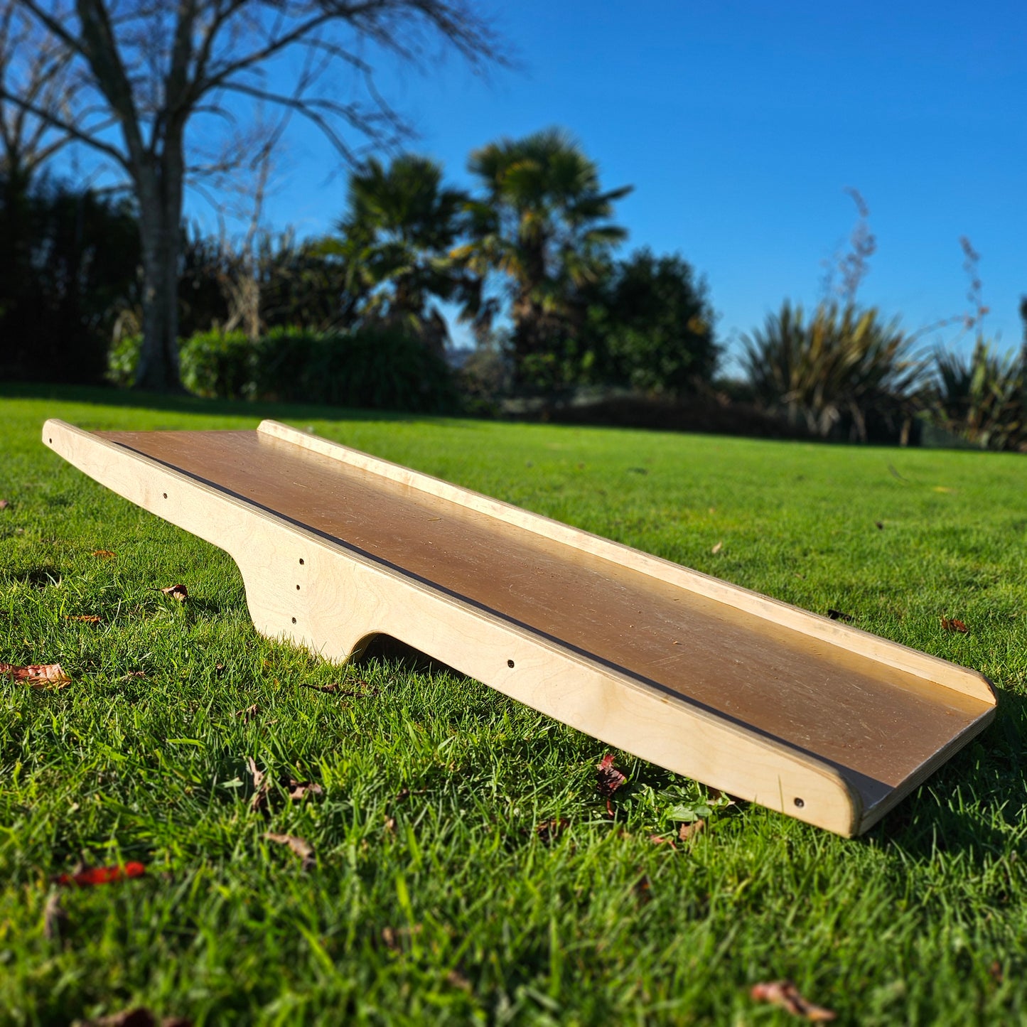 Children's Bike Seesaw