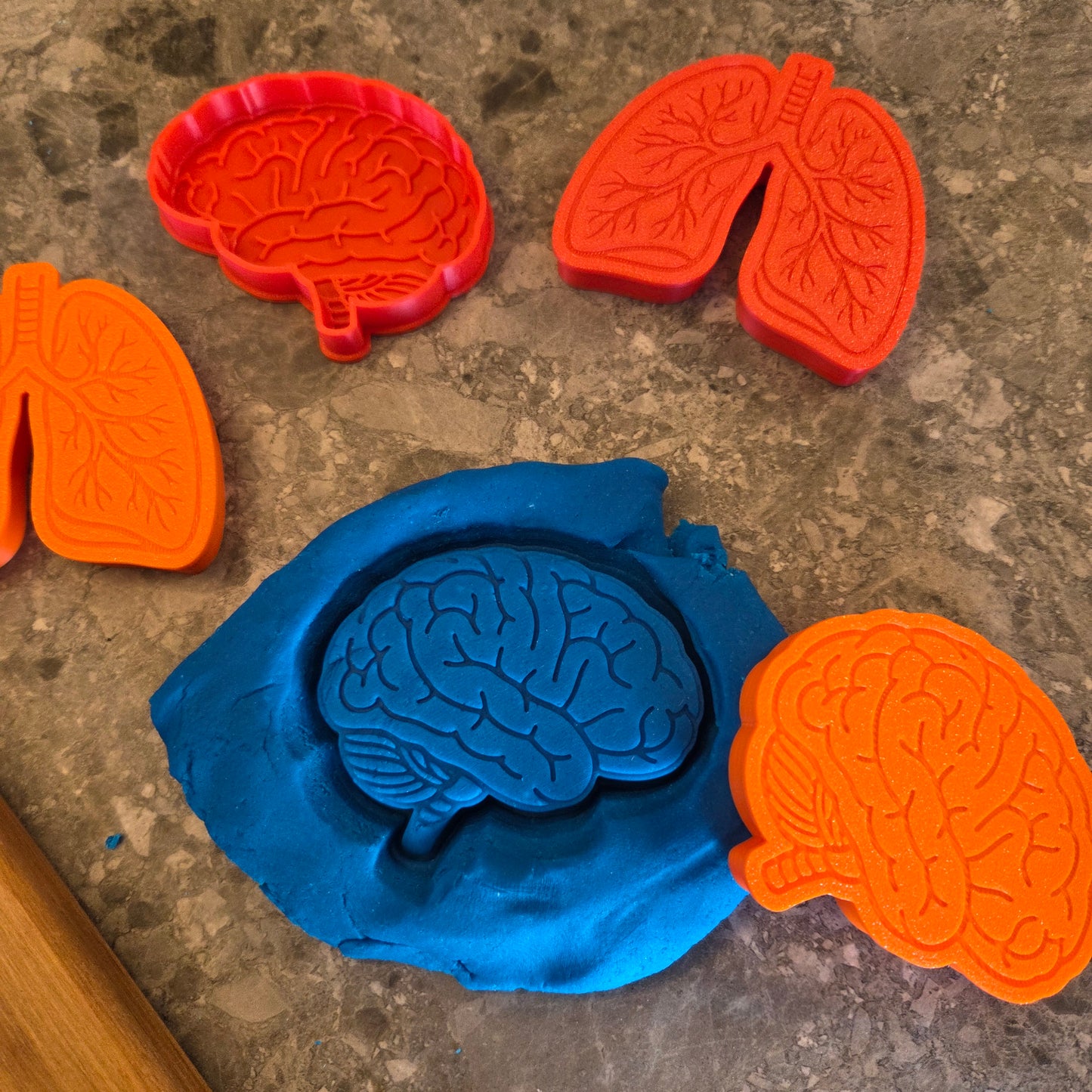 Human Body Playdough Cutters