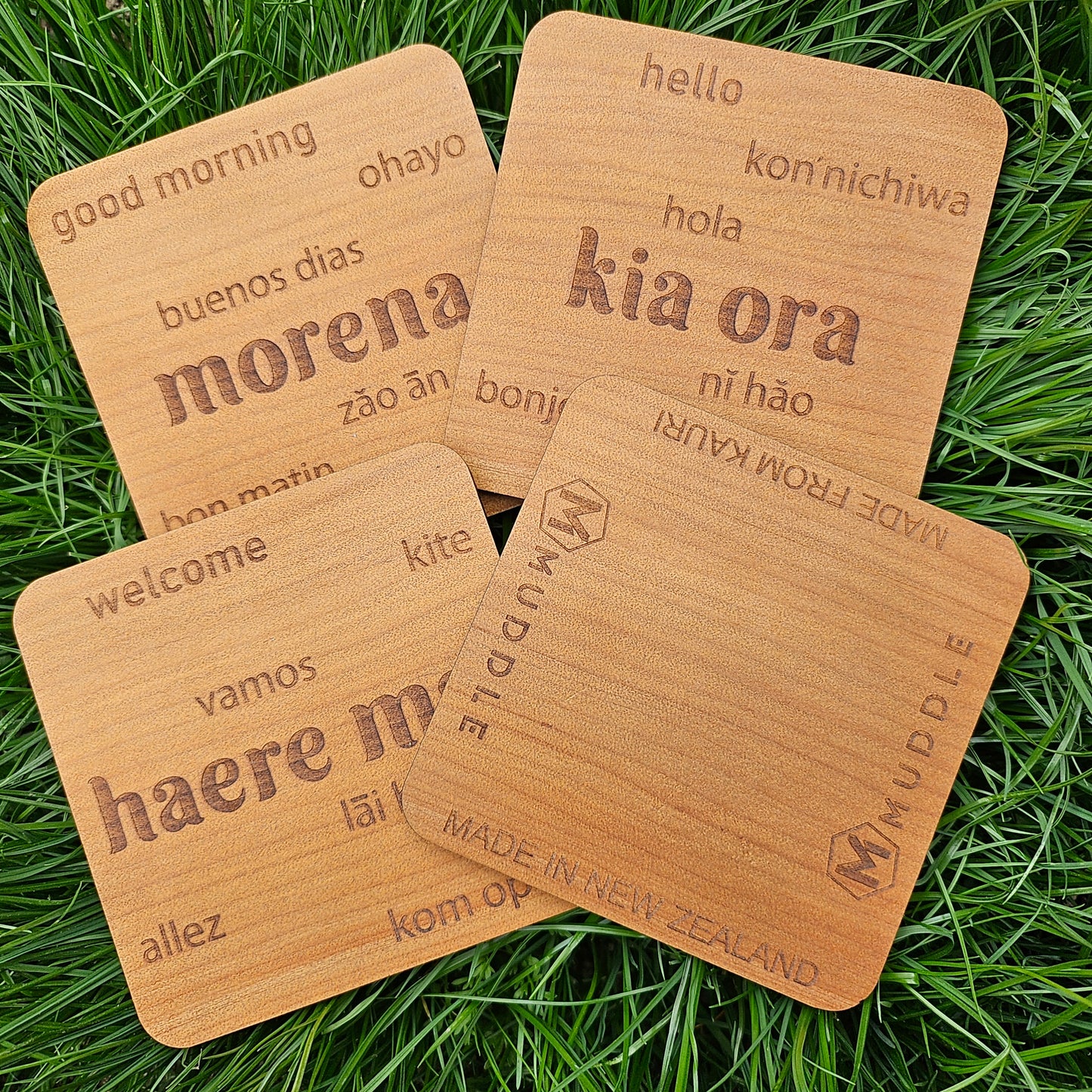Translation Coasters
