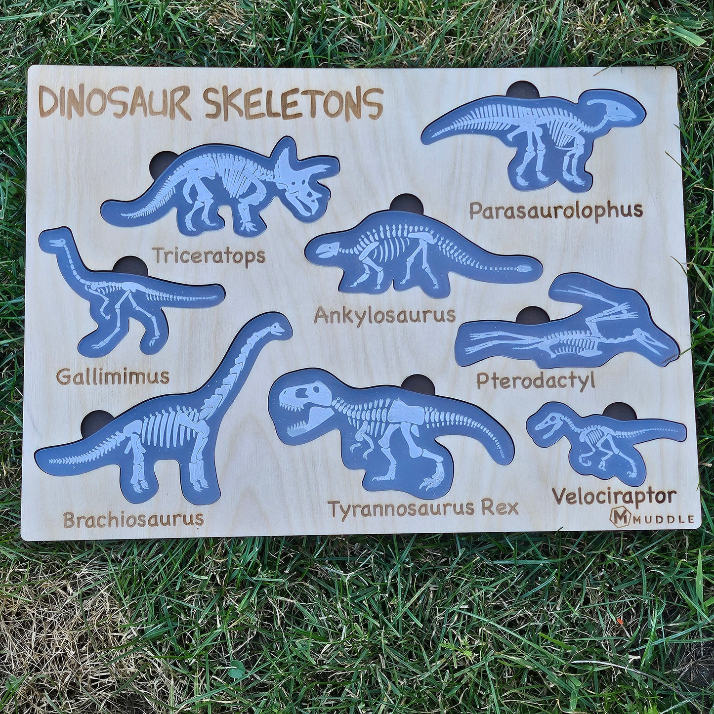 Dinosaur Skeleton Puzzle
