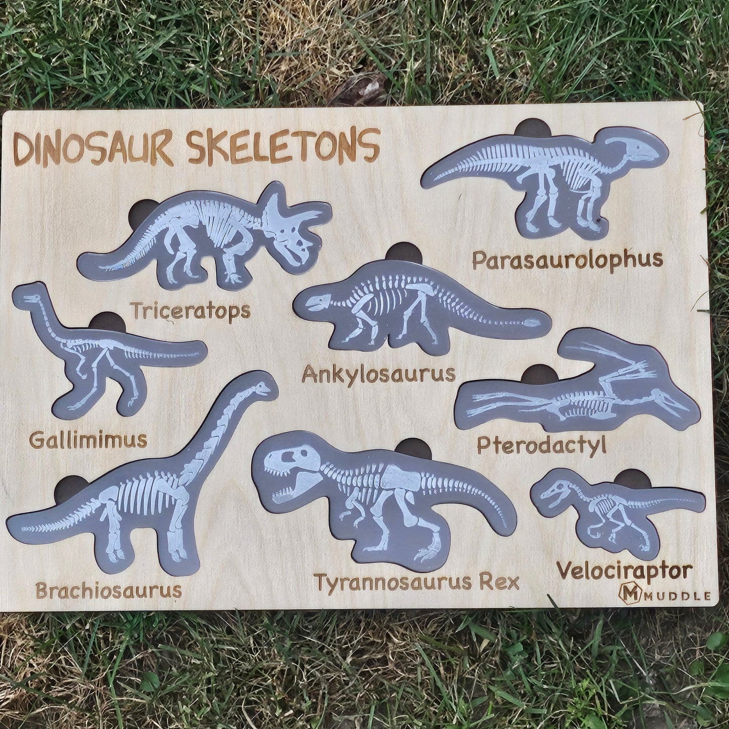 Dinosaur Skeleton Puzzle