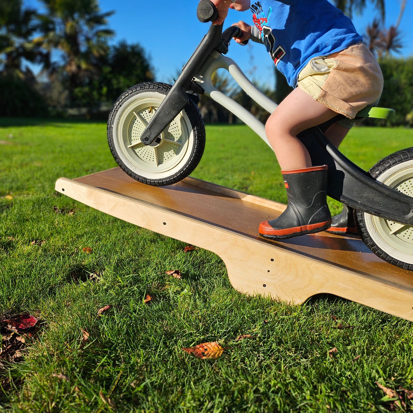 Children's Bike Seesaw