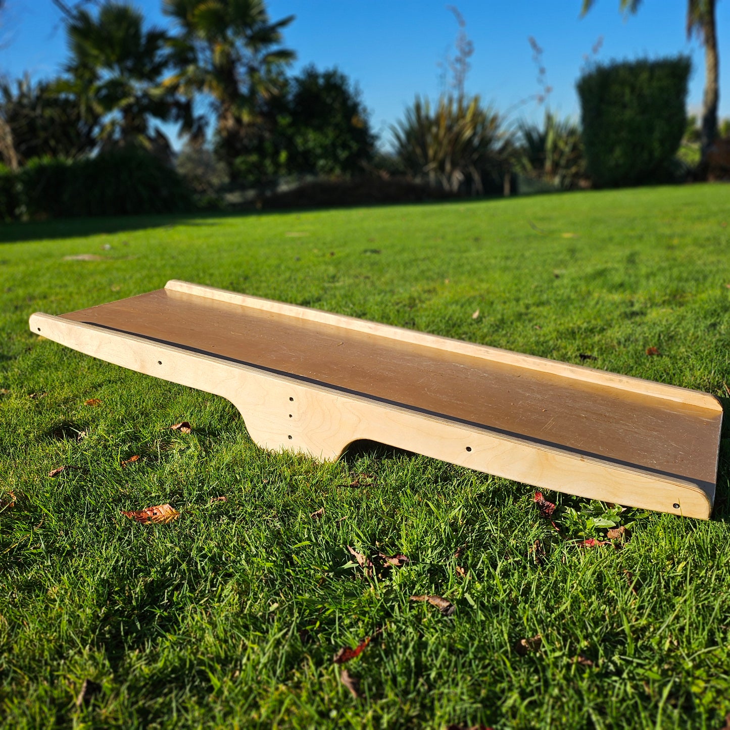 Children's Bike Seesaw