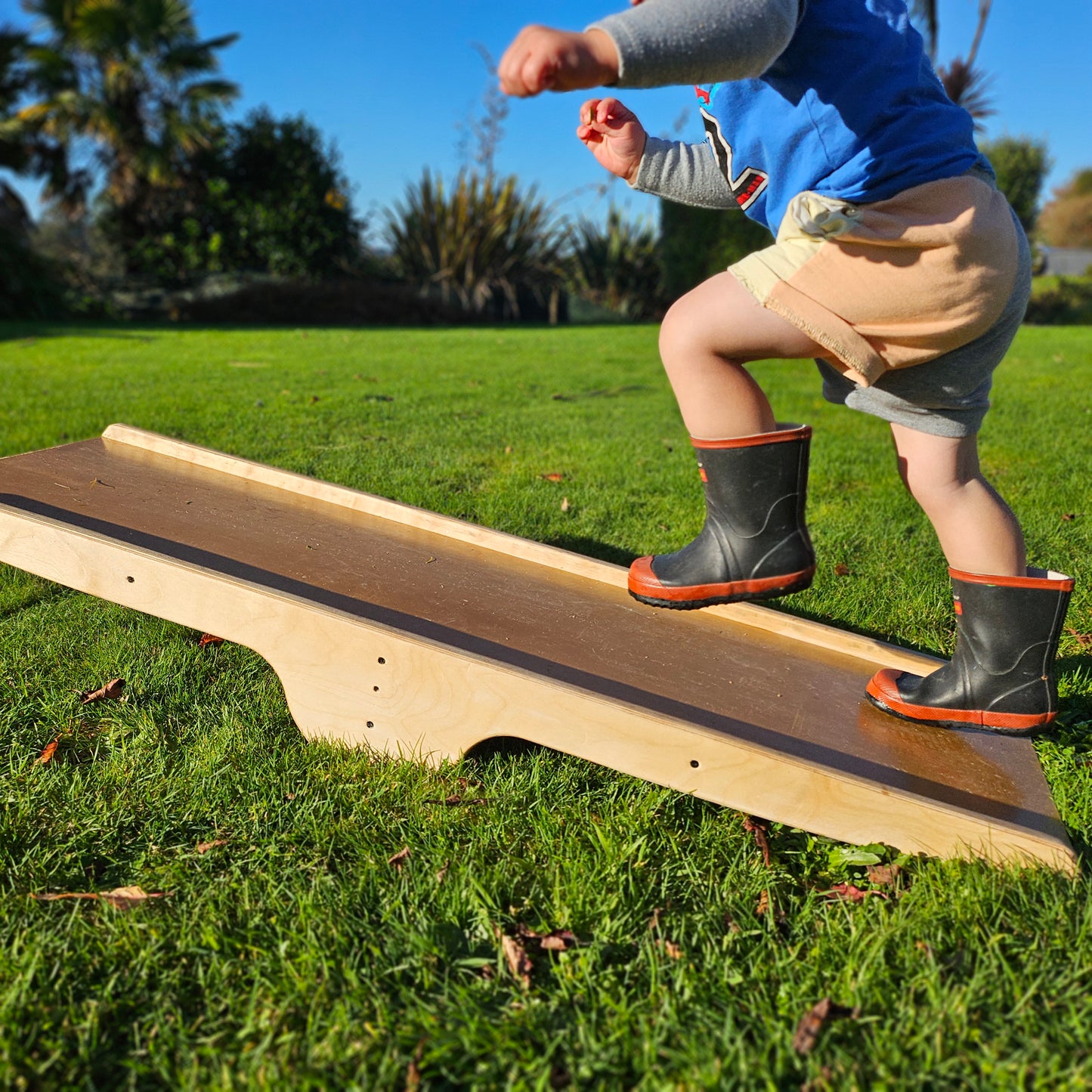 Children's Bike Seesaw