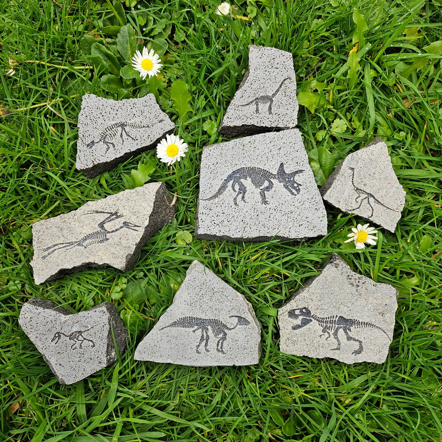 Dinosaur Rocks