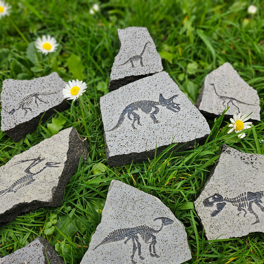 Dinosaur Rocks