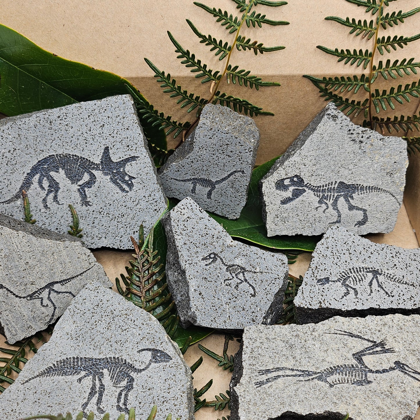 Dinosaur Rocks