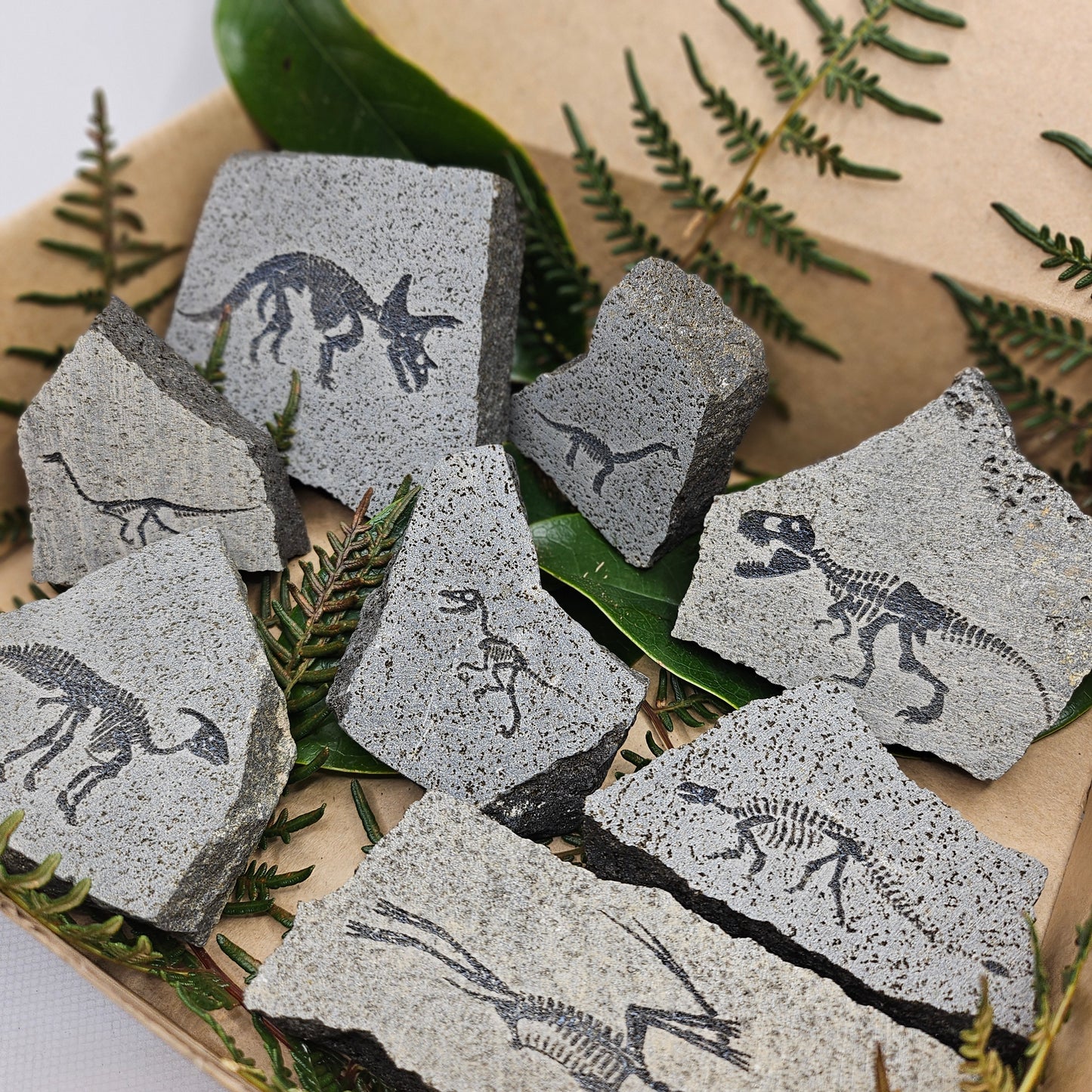 Dinosaur Rocks