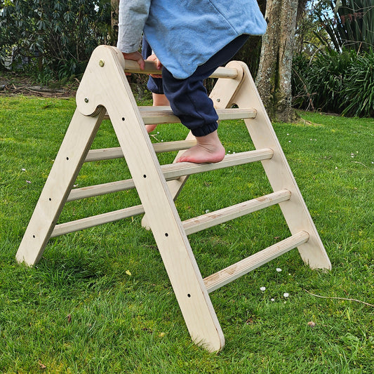 Wooden Climbing Frame