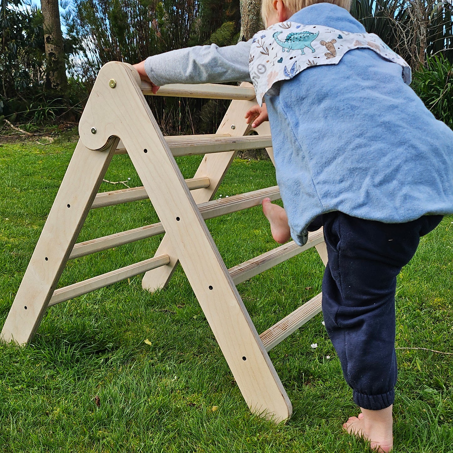 Wooden Climbing Frame