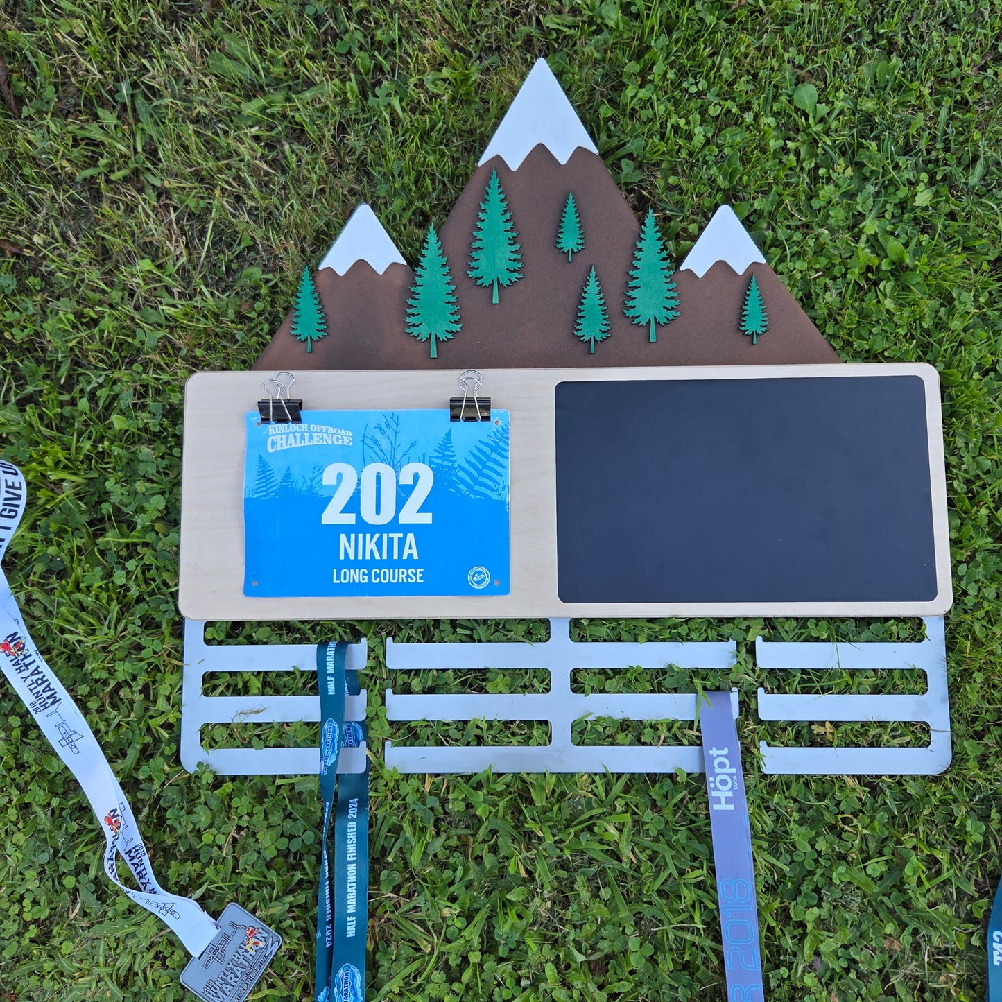 Mountain Scene Medal Hanger