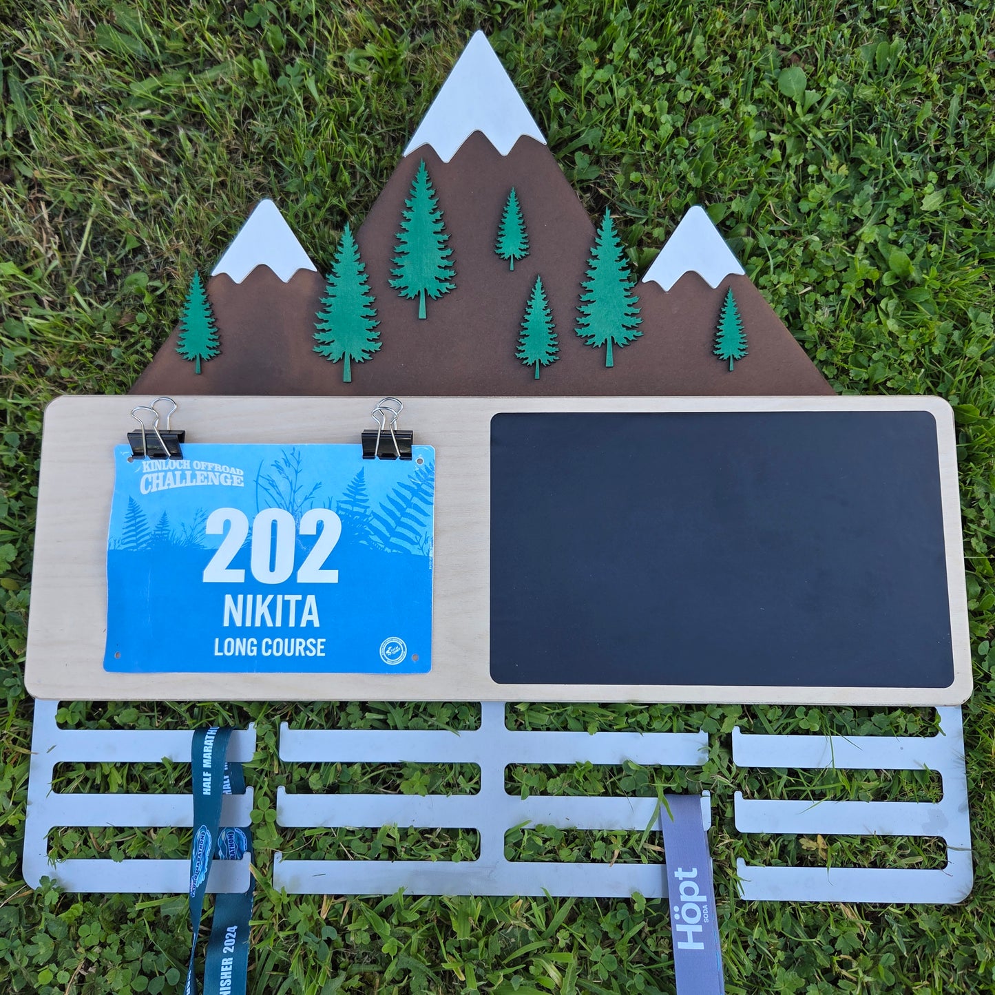Mountain Scene Medal Hanger