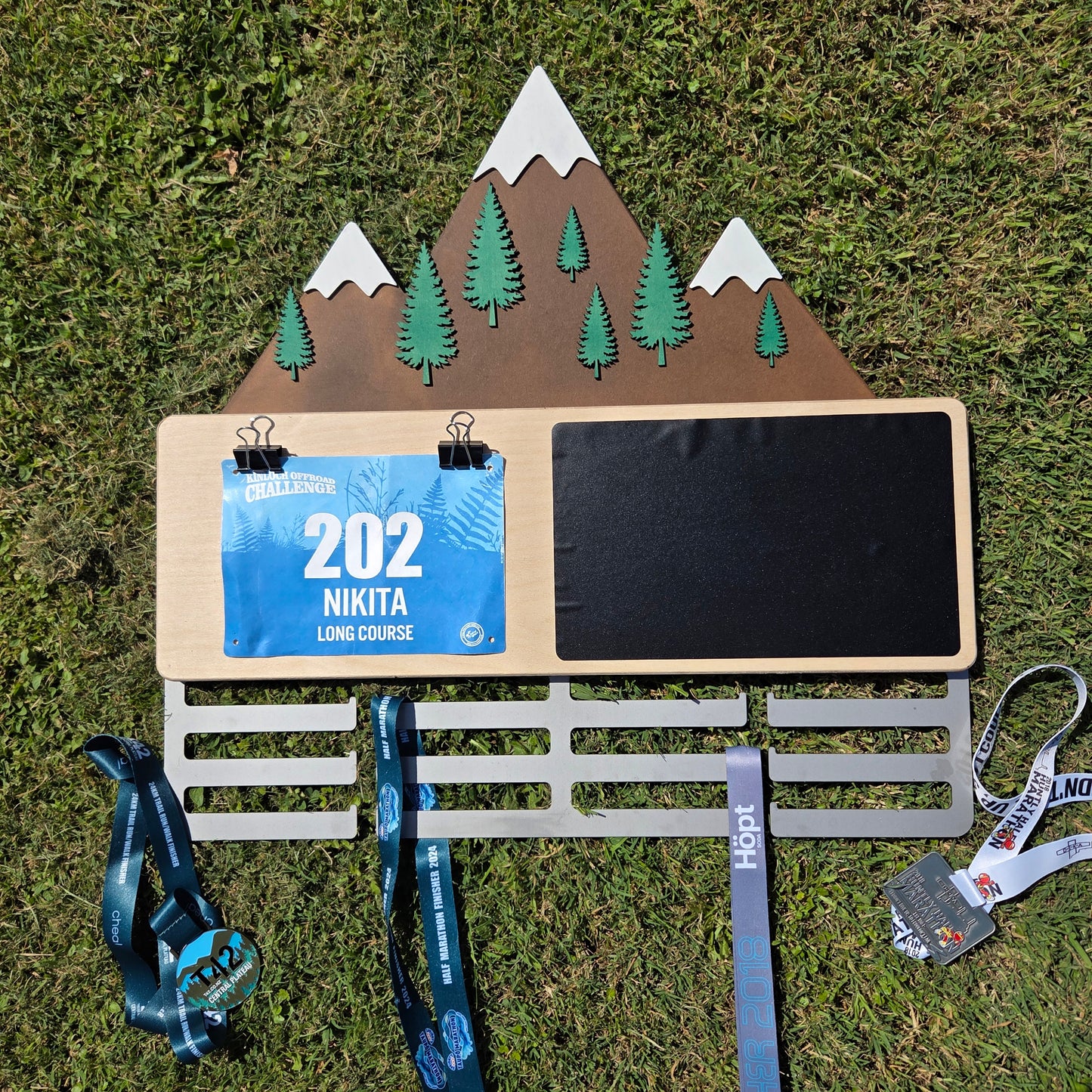 Mountain Scene Medal Hanger