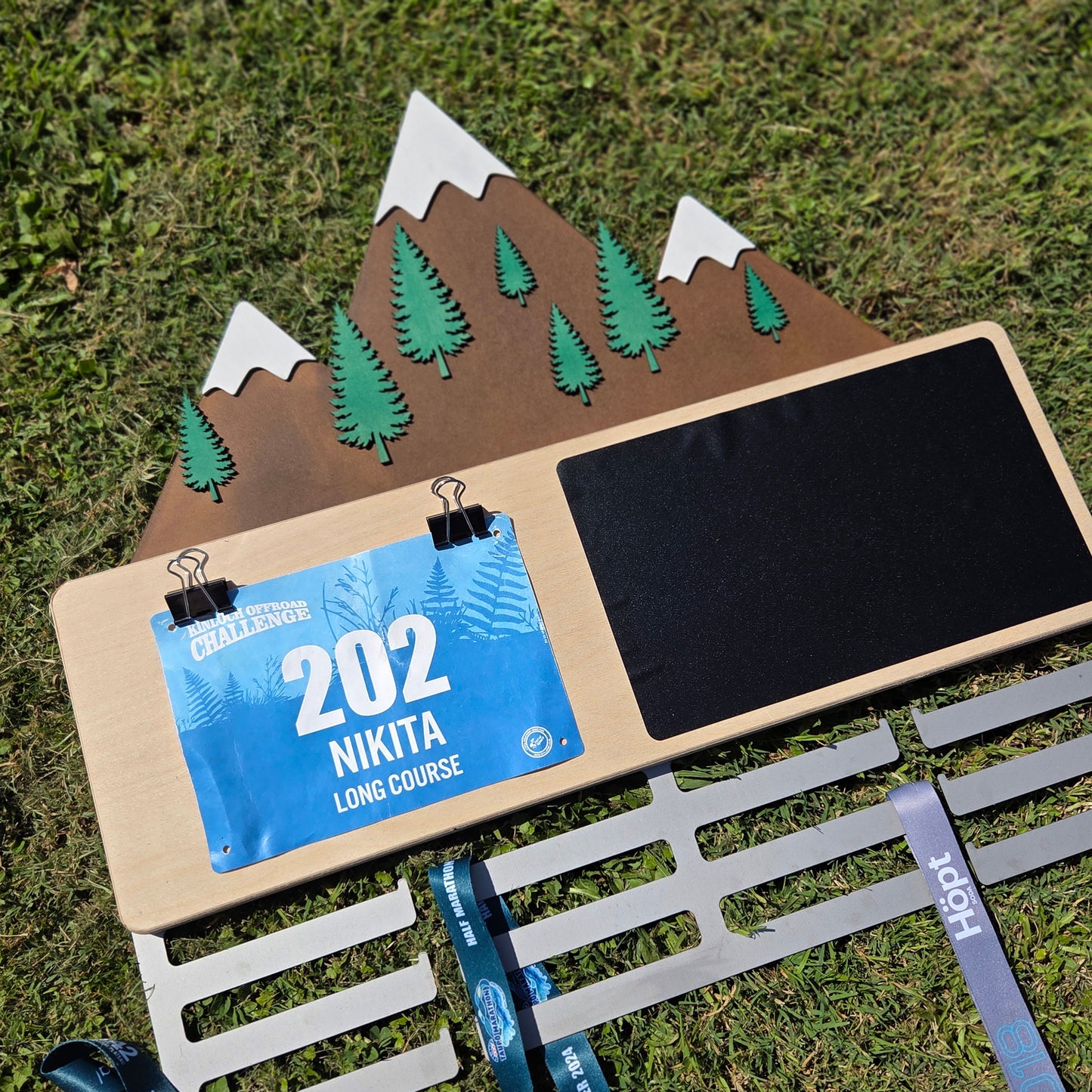 Mountain Scene Medal Hanger