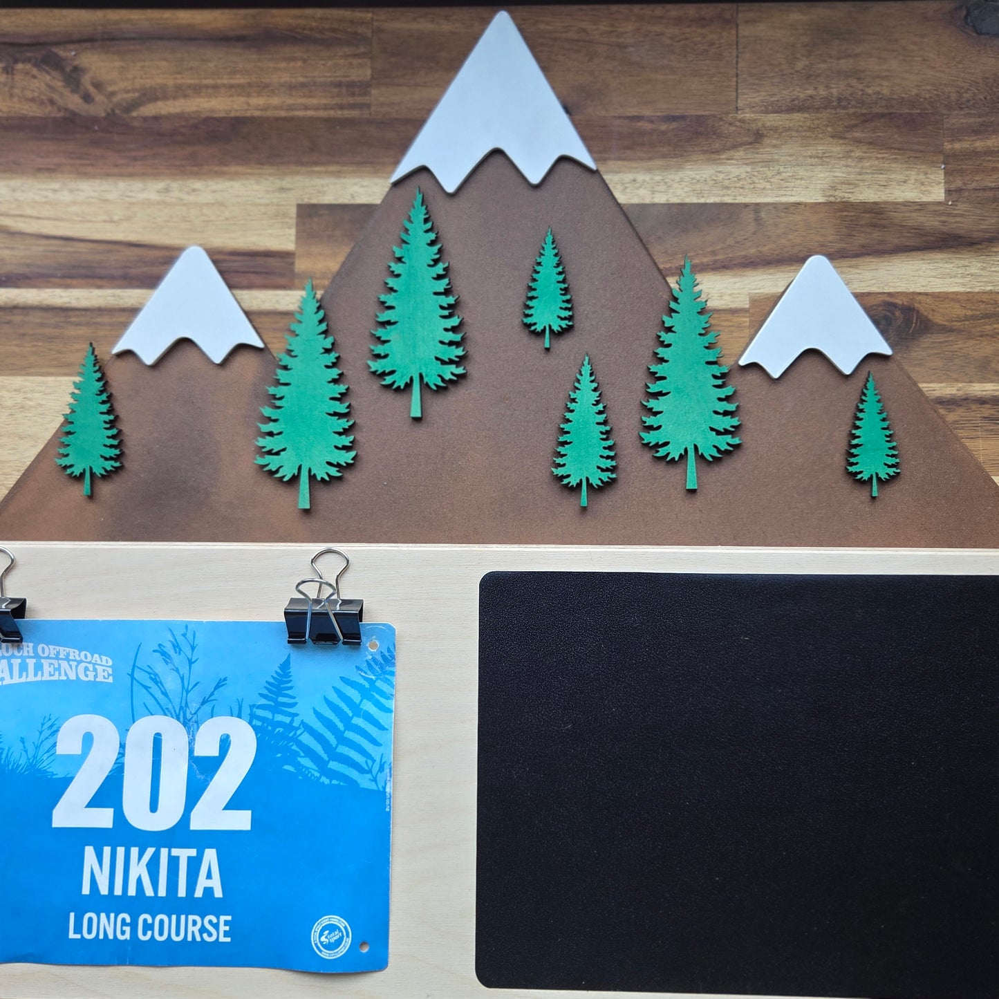 Mountain Scene Medal Hanger