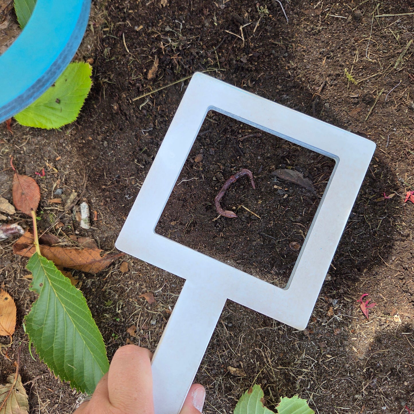 Wooden Shape Finders
