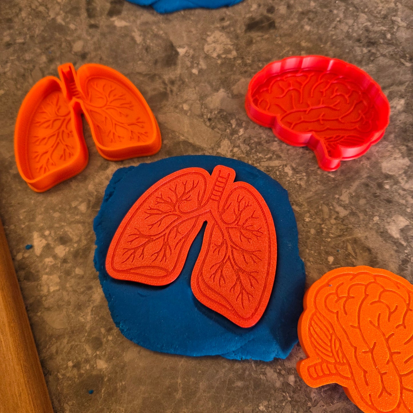 Human Body Playdough Cutters