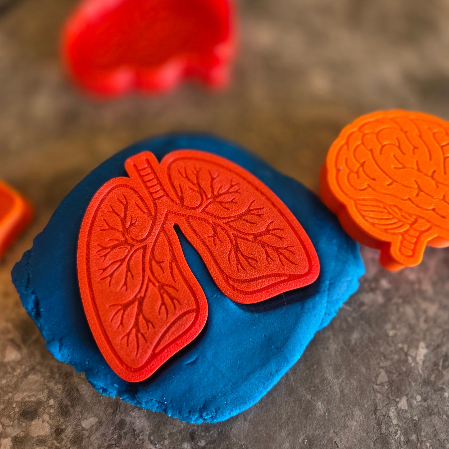 Human Body Playdough Cutters
