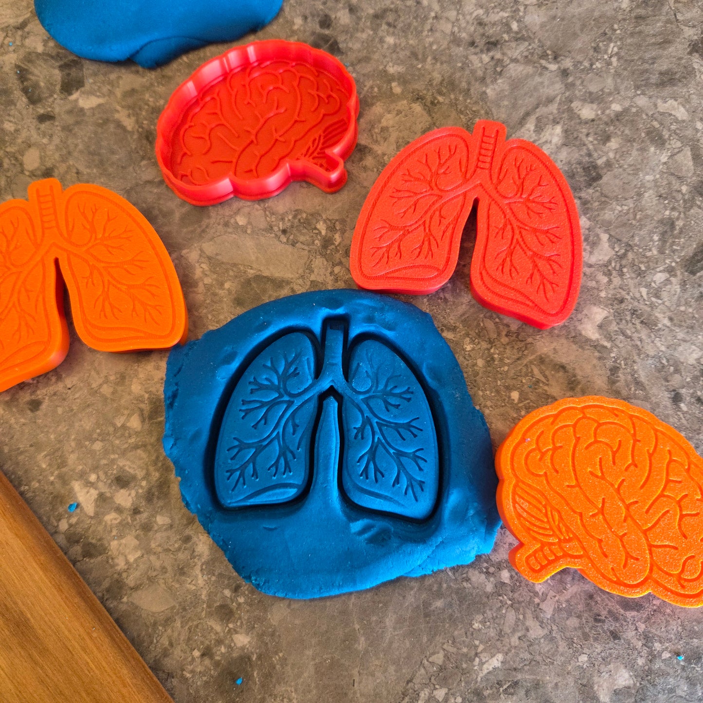Human Body Playdough Cutters