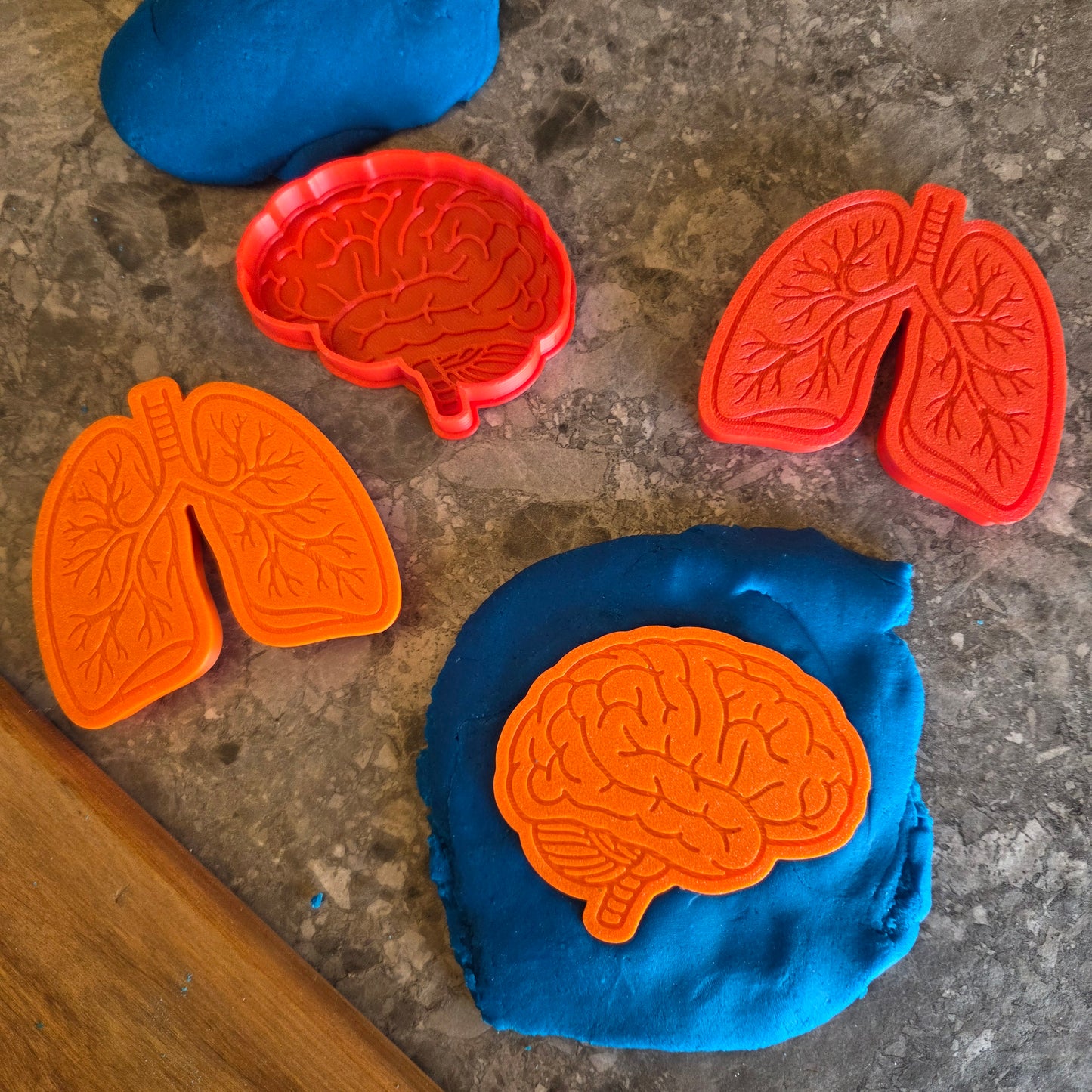 Human Body Playdough Cutters