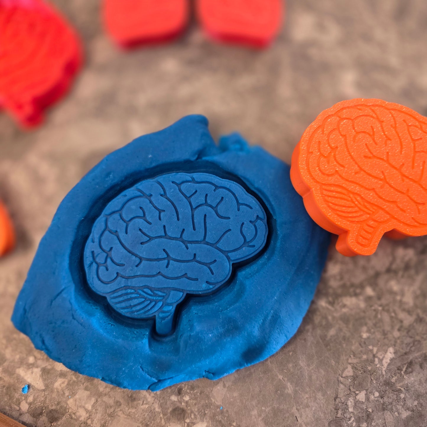 Human Body Playdough Cutters