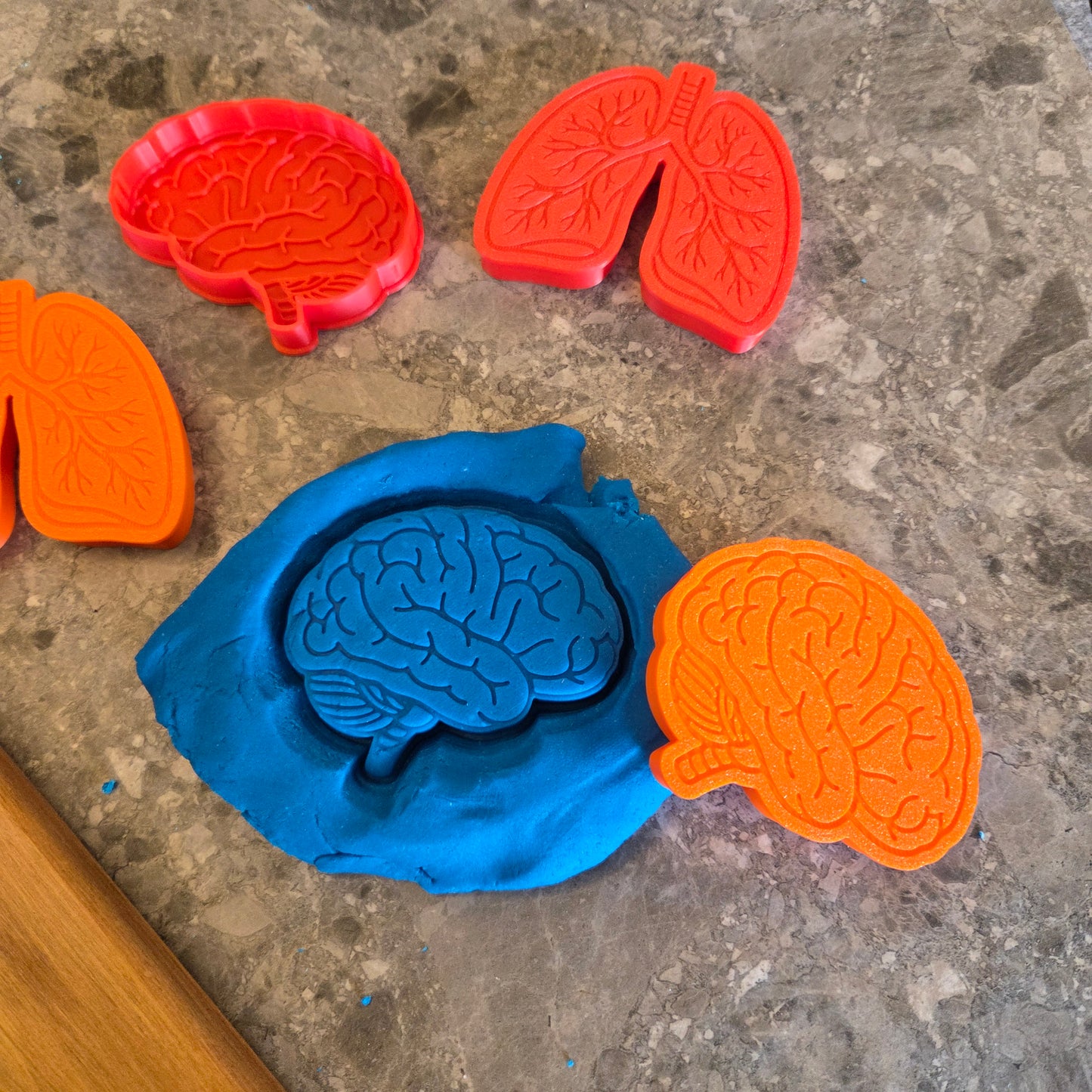 Human Body Playdough Cutters