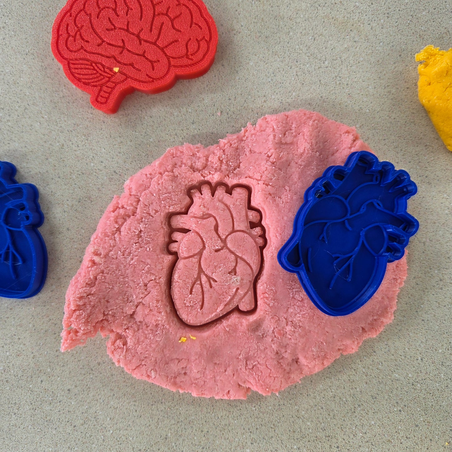 Human Body Playdough Cutters