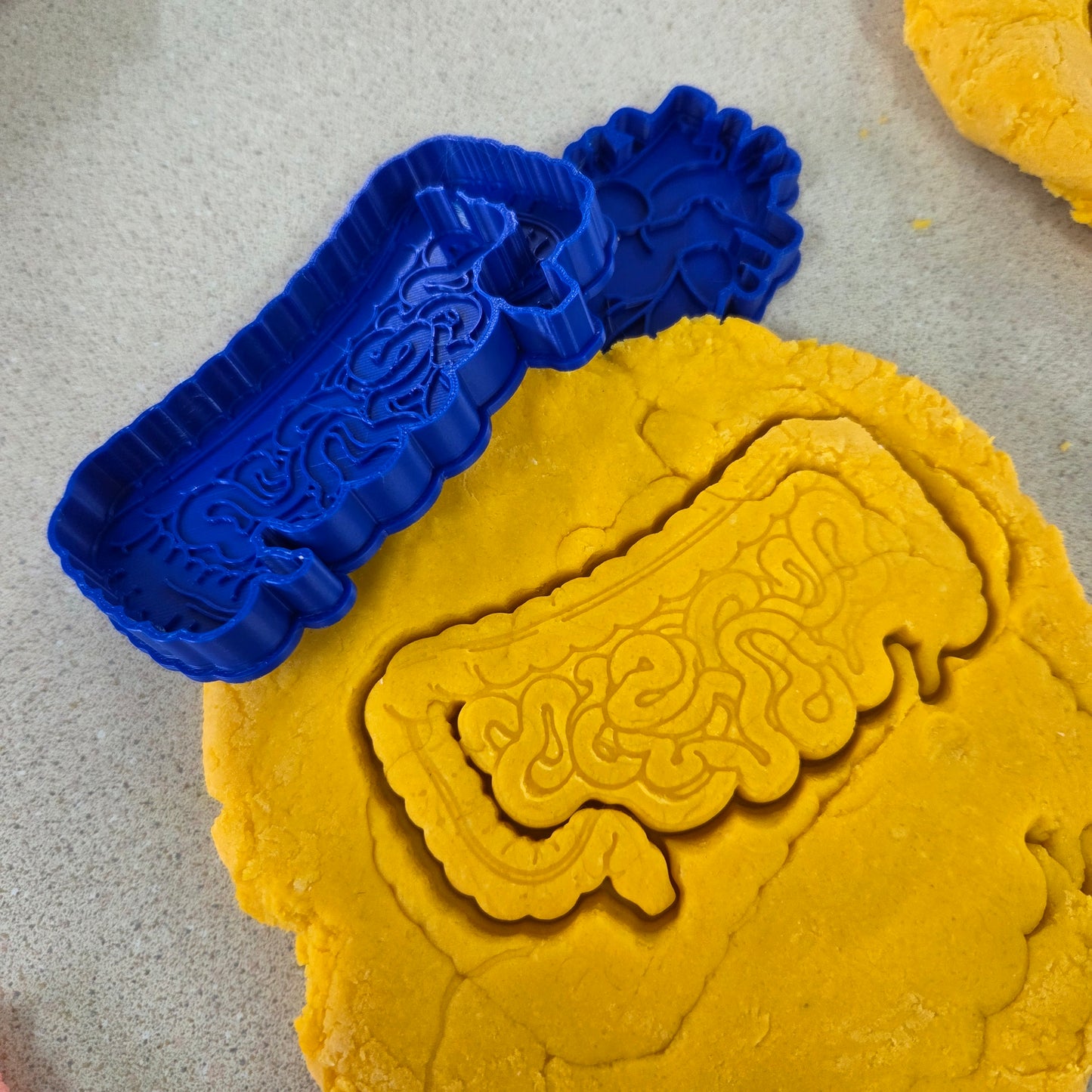 Human Body Playdough Cutters