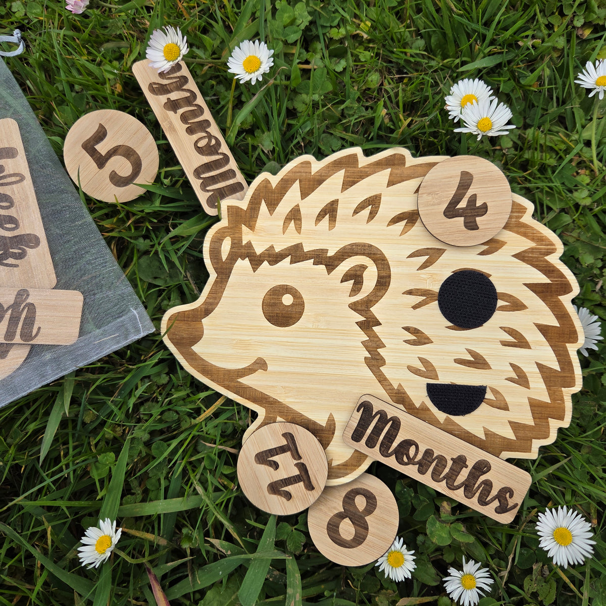 Hedgehog Milestone Nursery Set