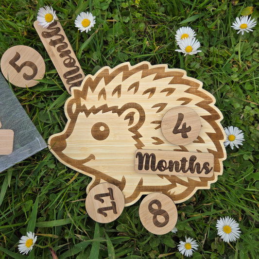 Hedgehog Milestone Nursery Set
