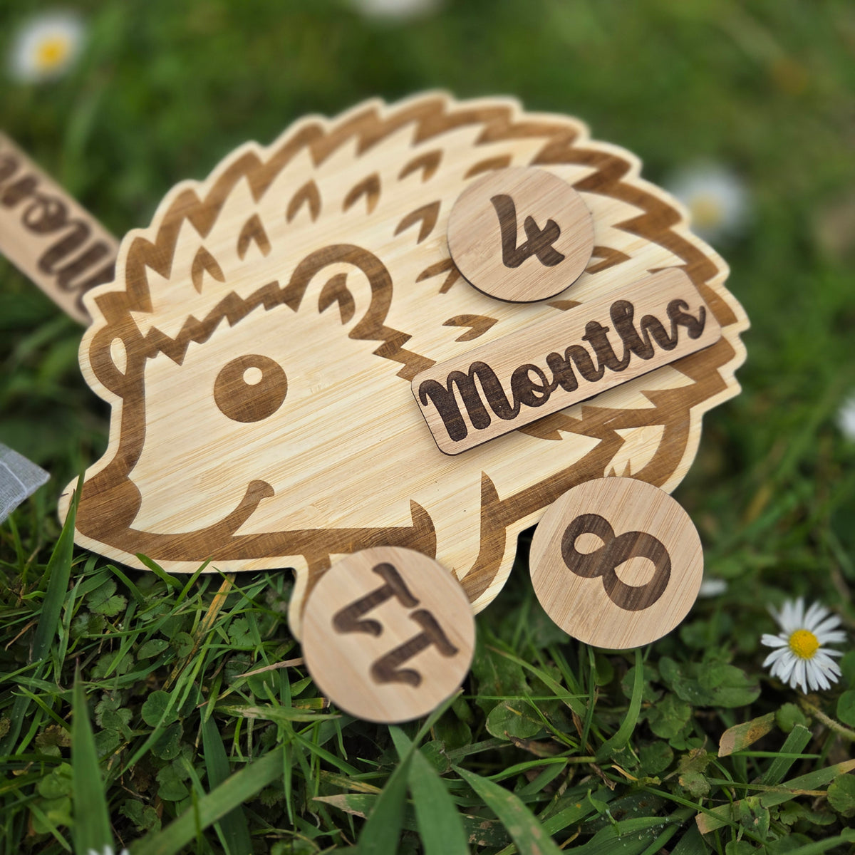 Hedgehog Milestone Nursery Set