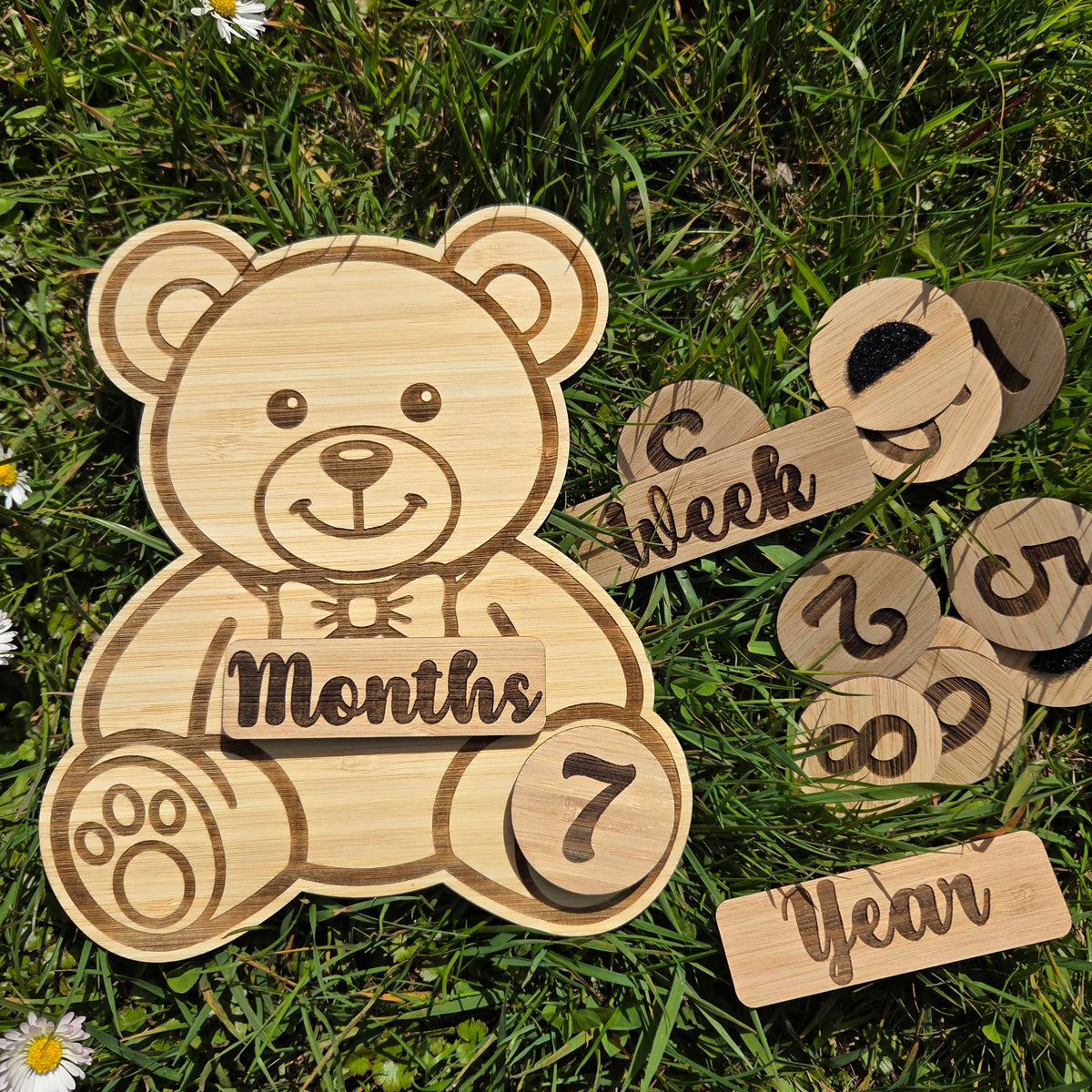 Teddy Bear Wooden Baby Milestone Discs