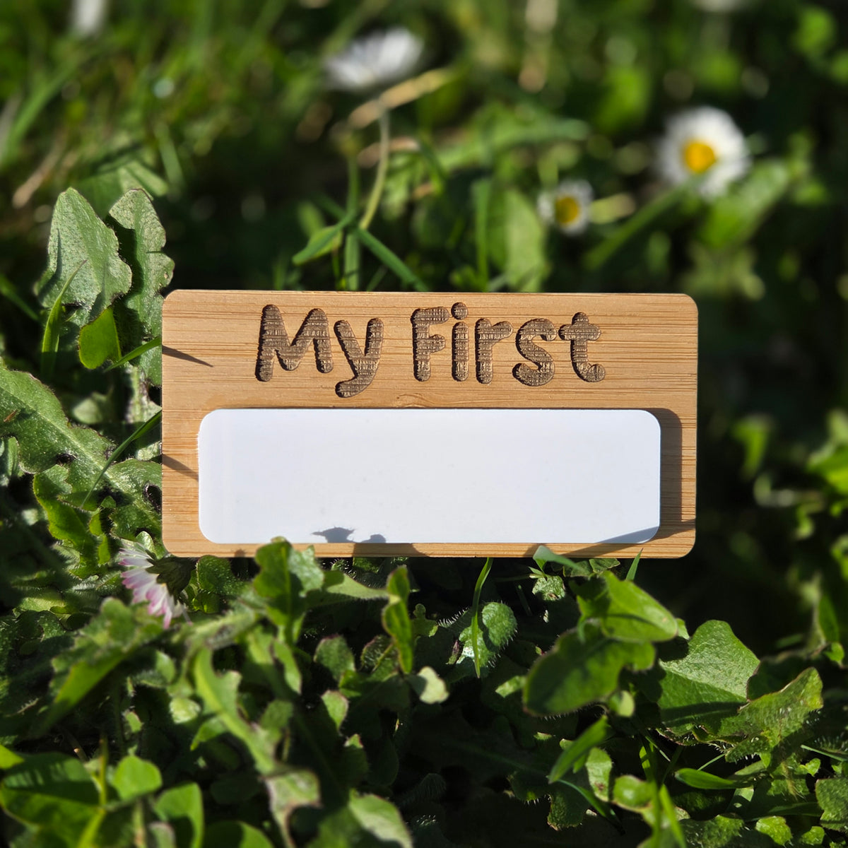 Reusable Wooden Baby Firsts Milestone Plaque and Acrylic Photo Prop